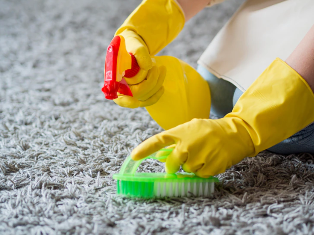 Professional Carpet Cleaning: Mastering Techniques for Spotless Results